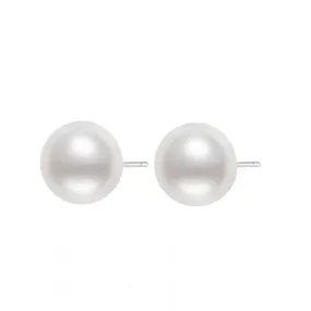 18K Gold Top Lustre Australian White South Sea Pearl Stud Earrings KE00140