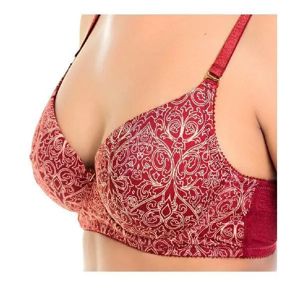 Low Back Bra With Swan Hook Straps For Women