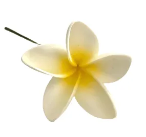 Plumeria hair pick