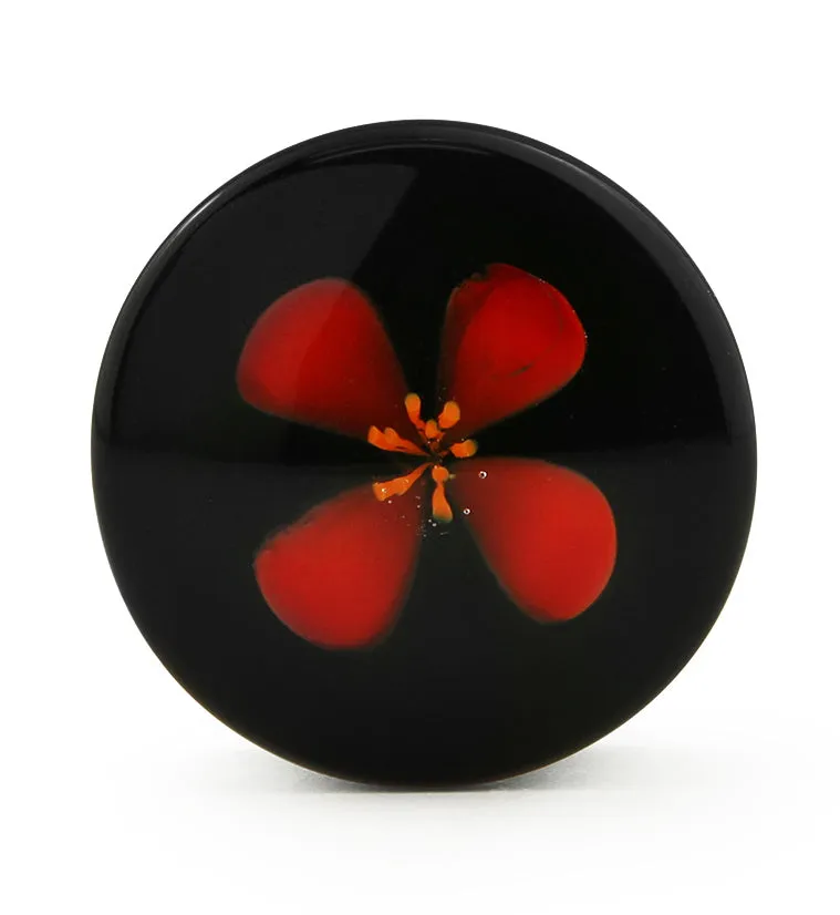 Red Poppy Flower Black Glass Double Flare Plugs