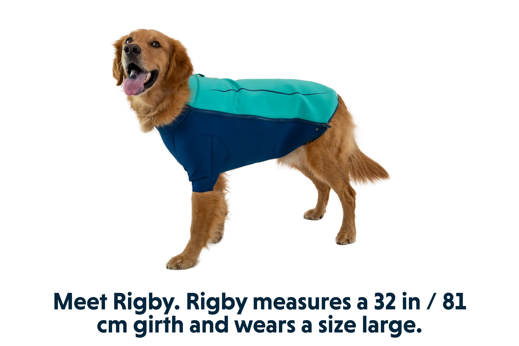 RP - Undercoat™ Dog Water Jacket