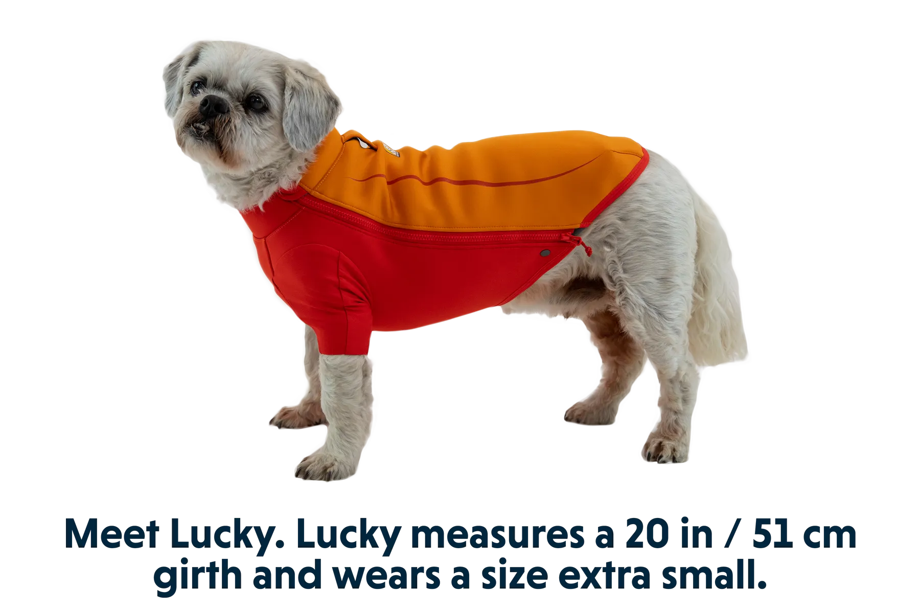 RP - Undercoat™ Dog Water Jacket