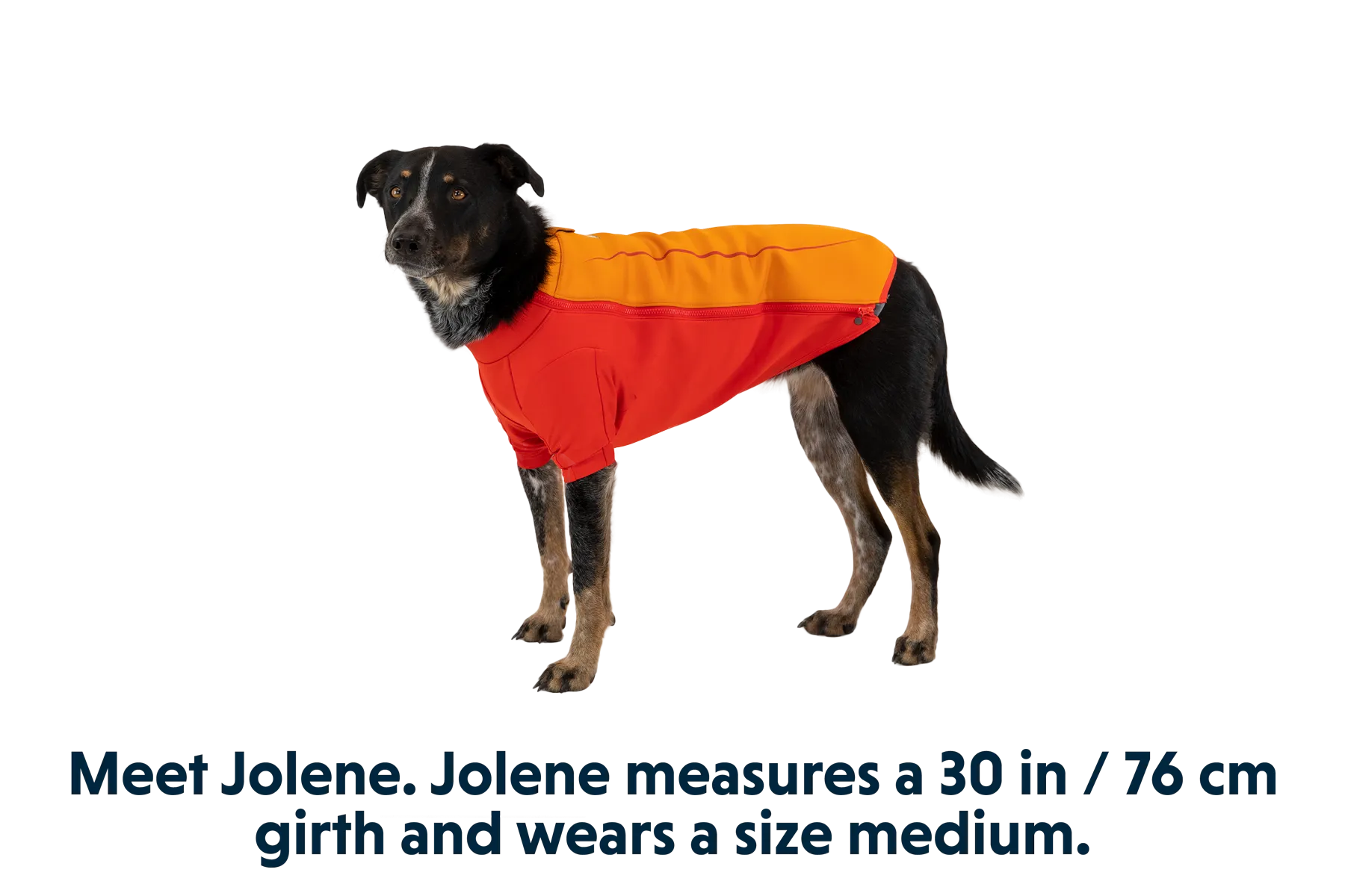 RP - Undercoat™ Dog Water Jacket